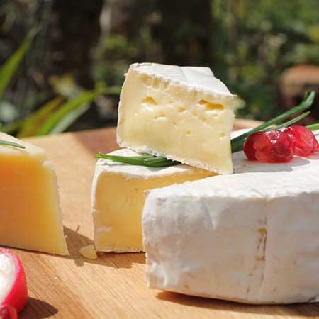 Milder Käse
