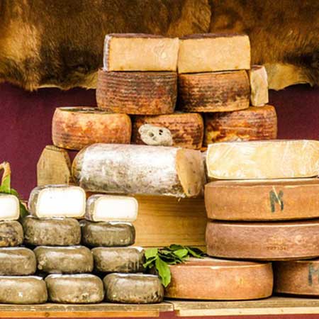 Schafs- oder Ziegenkäse